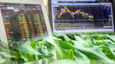 O que são commodities agrícolas e os motivos para investir