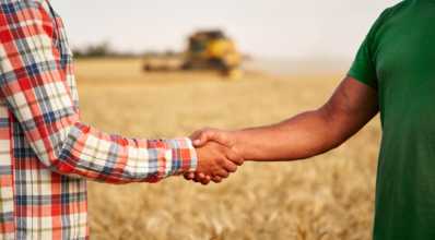 Tire suas principais dúvidas sobre contratos agrários