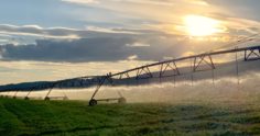 Sistemas de irrigação na produção agrícola