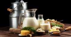 Derivados do leite: conheça os principais produtos