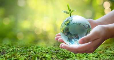 Agricultura sustentável: respeito ao meio ambiente