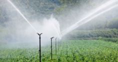 Irrigação e segurança alimentar: qual o papel da eficiência?