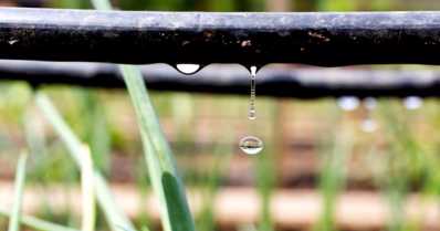 Irrigação por gotejamento: como funciona o sistema