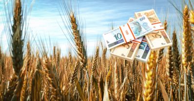 O malefício dos subsídios ao agronegócio