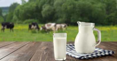 Preço do leite: quatro fatores que mais influenciam