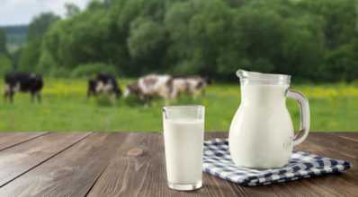 Preço do leite: quatro fatores que mais influenciam