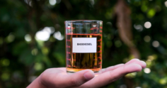 Biodiesel: o que é, como produz e utilização no Brasil