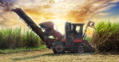 Máquinas agrícolas para produção de cana-de-açúcar