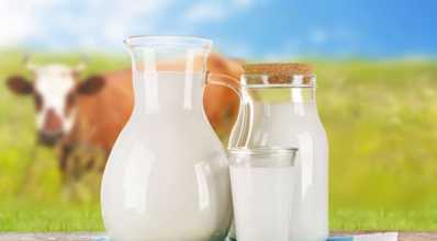Leite LINA: conheça as causas para a instabilidade do leite