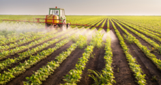 Causas e consequências da fitotoxicidade nas culturas agrícolas