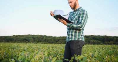 Principais indicadores agrícolas para você acompanhar em sua propriedade