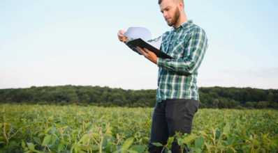 Principais indicadores agrícolas para você acompanhar em sua propriedade