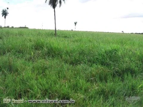 Linda fazenda, um paraíso, local maravilhoso!