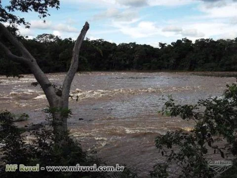 Linda fazenda, um paraíso, local maravilhoso!