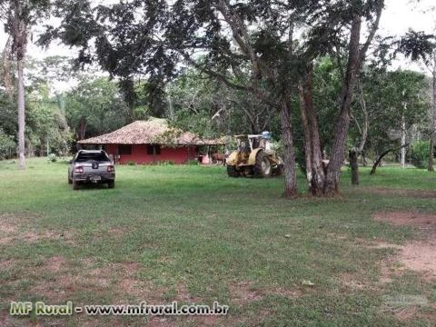 Linda fazenda, um paraíso, local maravilhoso!