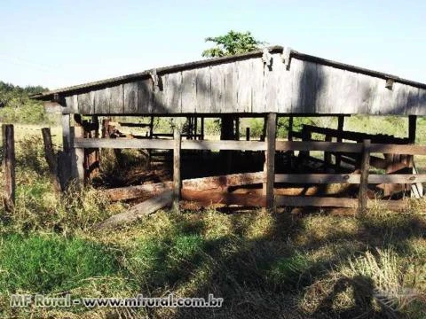 Linda chácara, 1.200 m de frente para a BR 163