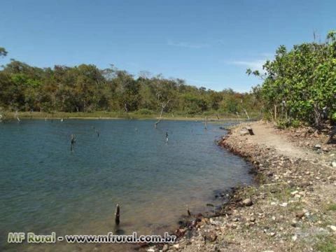 Rancho no lago do Tocantins