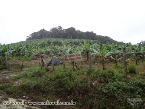 SITIO EM PARIQUERA-AÇU