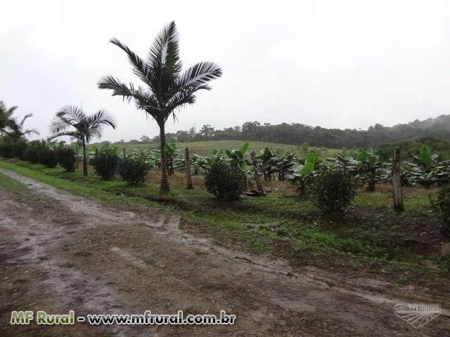 SITIO EM PARIQUERA-AÇU