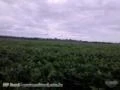 Fazenda a venda em Rondonia