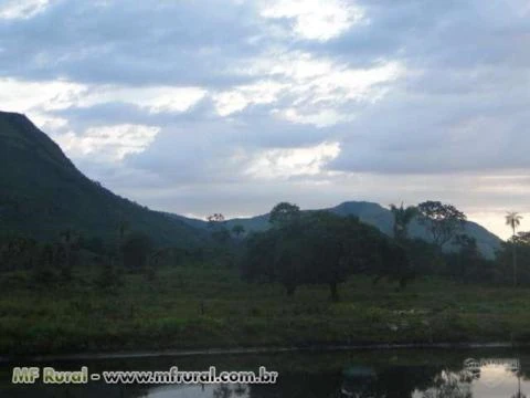 Fazenda 2.187 hectares, plana, 90% formada