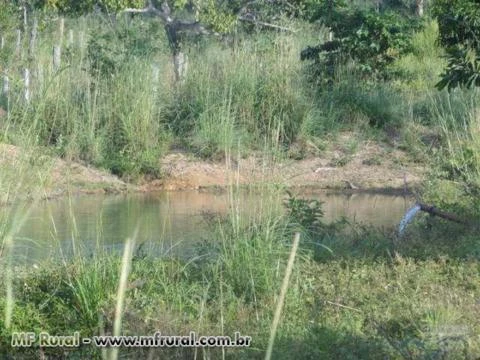 Fazenda 2.187 hectares, plana, 90% formada