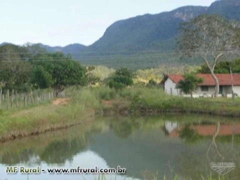 Fazenda 2.187 hectares, plana, 90% formada