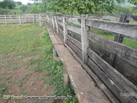 Fazenda 2.187 hectares, plana, 90% formada