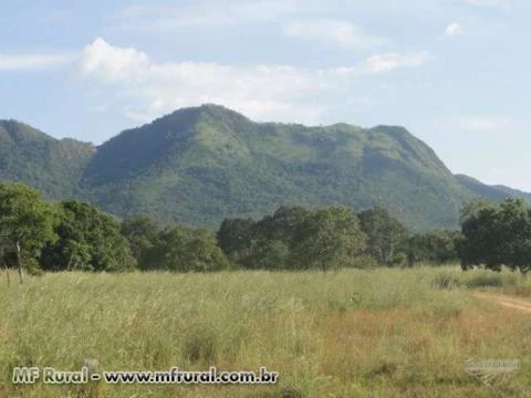 Fazenda 2.187 hectares, plana, 90% formada