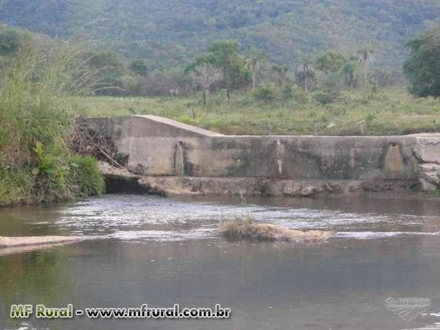 Fazenda 2.187 hectares, plana, 90% formada