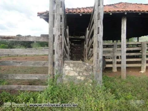 Fazenda 2.187 hectares, plana, 90% formada