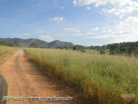 Fazenda 2.187 hectares, plana, 90% formada