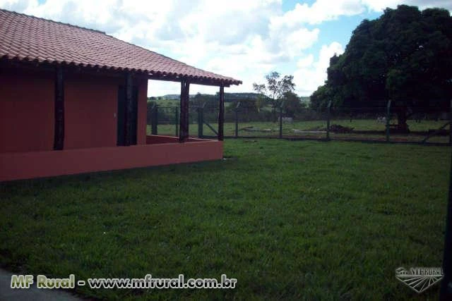 EXCELENTE FAZENDA - MARGENS BR 262 - 18 KM ABCZ E CENTRO DE UBERABA - 87 HECTARES