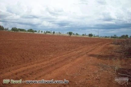 EXCELENTE FAZENDA - MARGENS BR 262 - 18 KM ABCZ E CENTRO DE UBERABA - 87 HECTARES