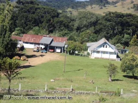 Fazenda na Serra Catarinense