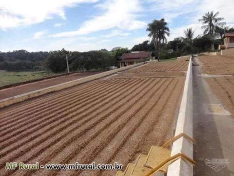 Fazenda de café e peixe a venda