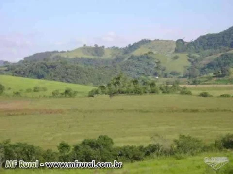 Fazenda em São Gonçalo do Sapucaí - MG