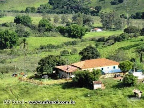 Fazenda em São Gonçalo do Sapucaí - MG