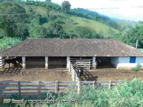Fazenda em Conceição do Rio Verde - MG