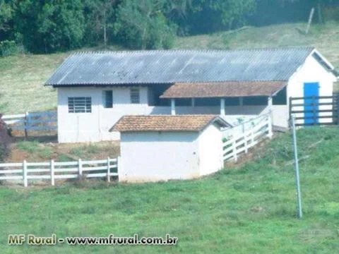 Fazenda em Conceição do Rio Verde - MG