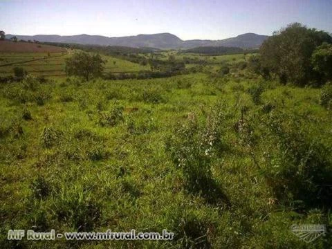 Fazenda em Divisa Nova - MG