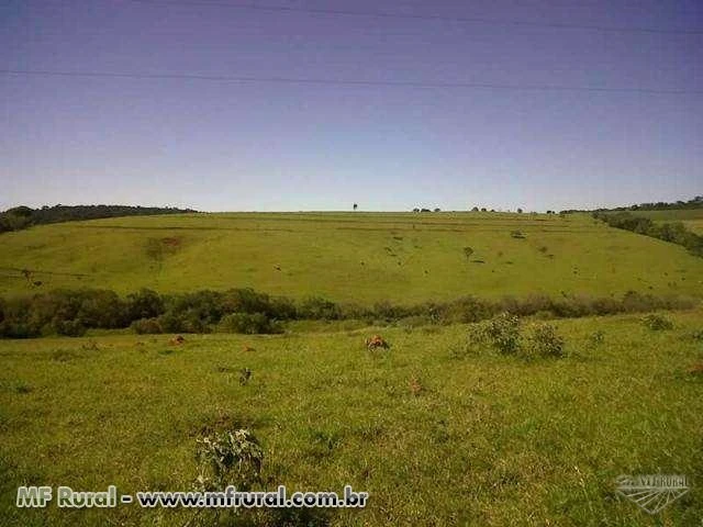 Fazenda em Divisa Nova - MG