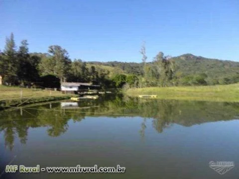 Fazenda em São Gonçalo do Sapucaí - MG