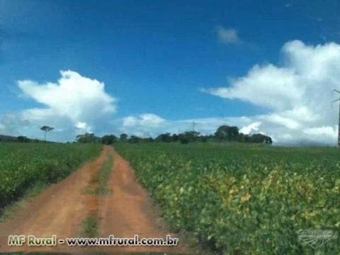 Fazenda em Planaltina de Goiás - GO