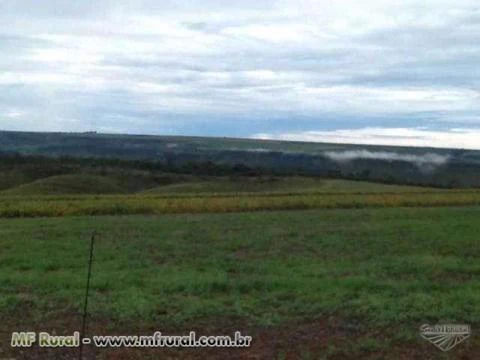 Fazenda em Planaltina de Goiás - GO