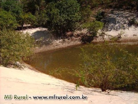 Fazenda em Cocalinho - MT