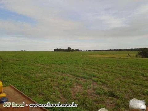 Fazenda de oportunidade