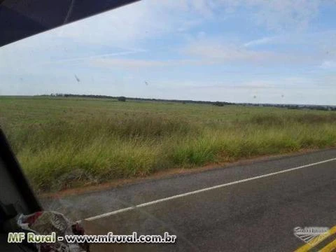 Fazenda de oportunidade