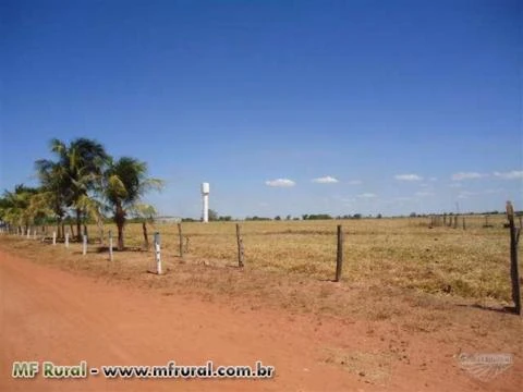 Fazenda pra agricultura/pecuária em Miracema próximo a Palmas