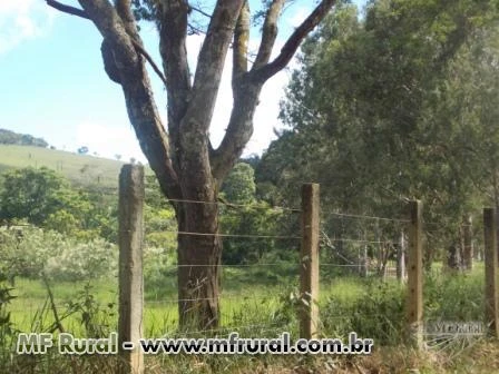 4 fazendas em Cantagalo (RJ) - 2655 hectares
